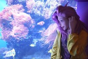 崩坏星穹铁道，剧情选项的影响力